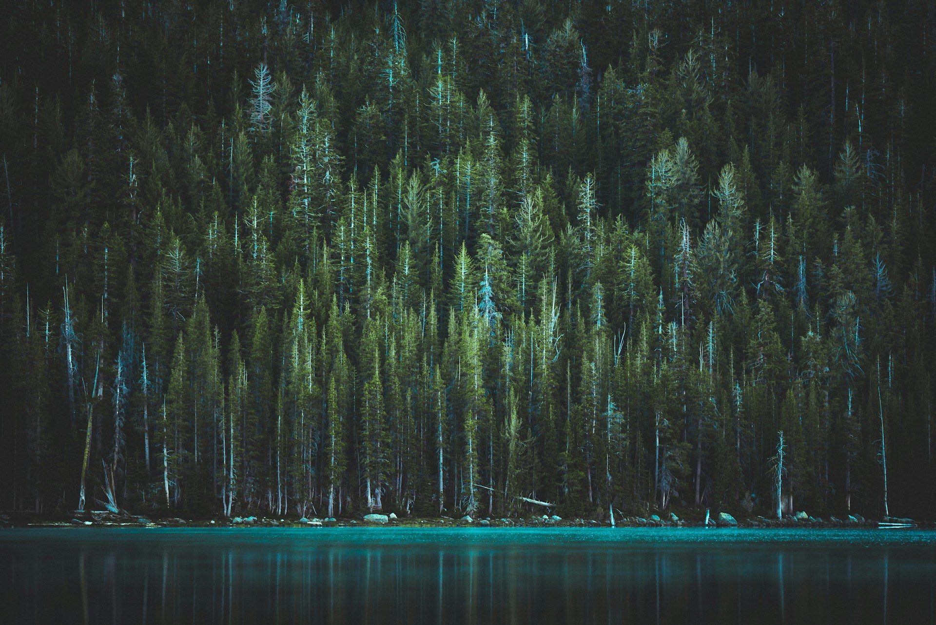 Photo by Casey Horner on Unsplash