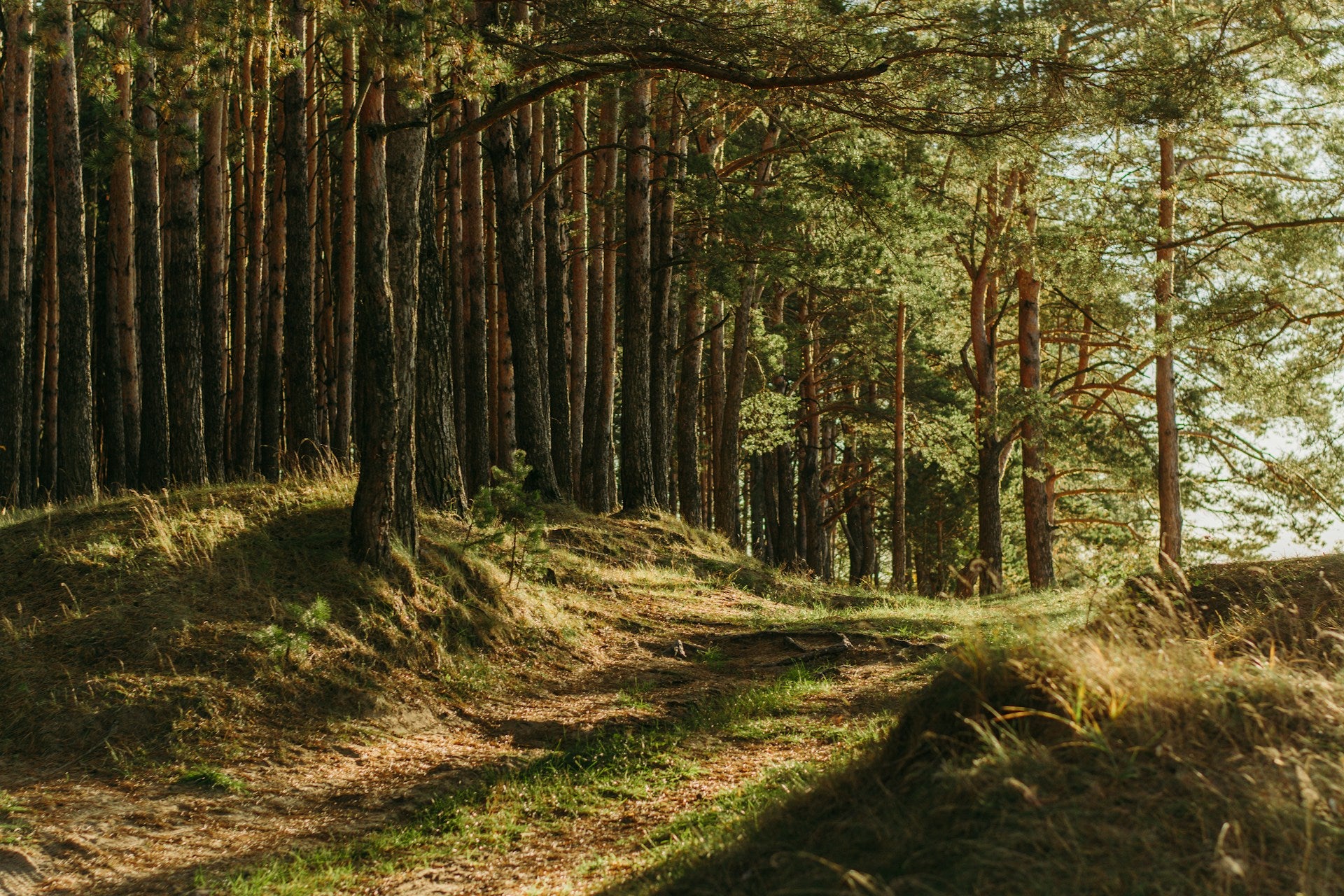 Photo by Irina Iriser on Unsplash